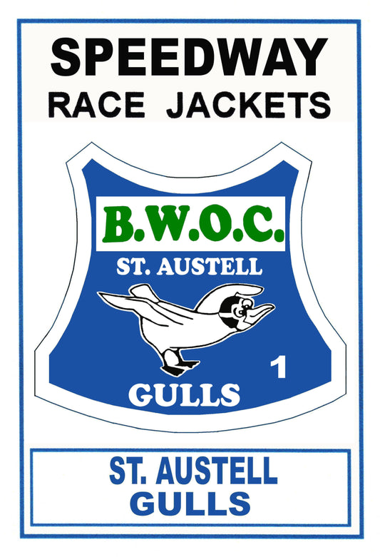 ST.AUSTELL gull CARD04